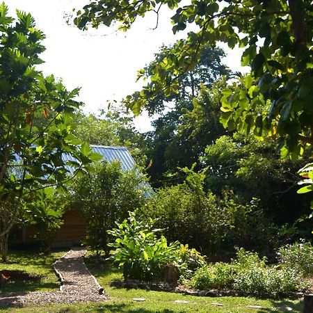 Iguana Roost Tourism Gold Standard Fully Equipped Two Bedroom Cabin San Ignacio Eksteriør billede