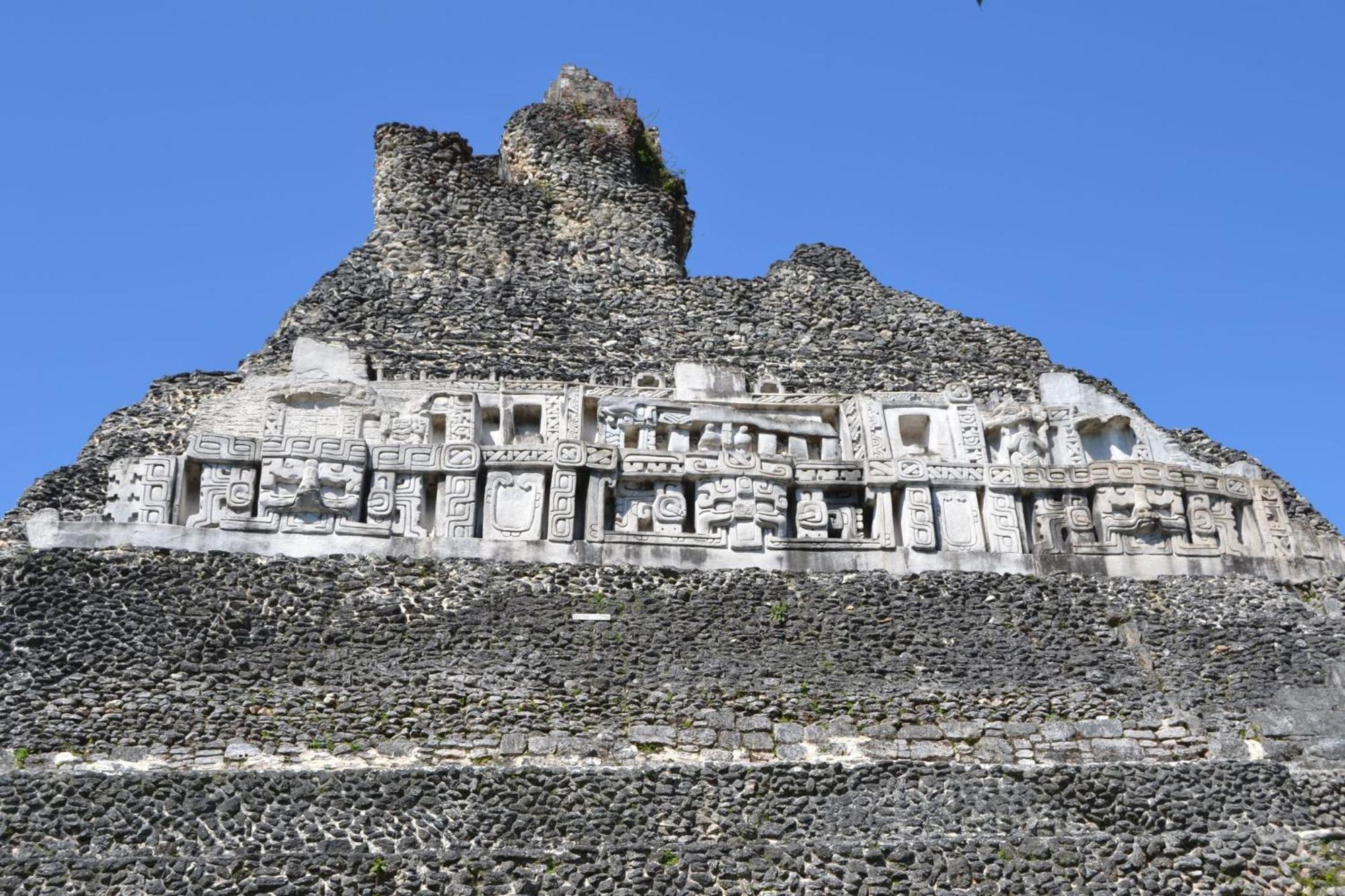 Iguana Roost Tourism Gold Standard Fully Equipped Two Bedroom Cabin San Ignacio Eksteriør billede
