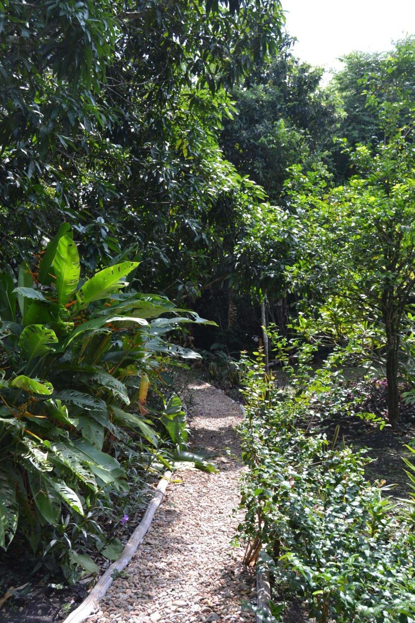 Iguana Roost Tourism Gold Standard Fully Equipped Two Bedroom Cabin San Ignacio Eksteriør billede