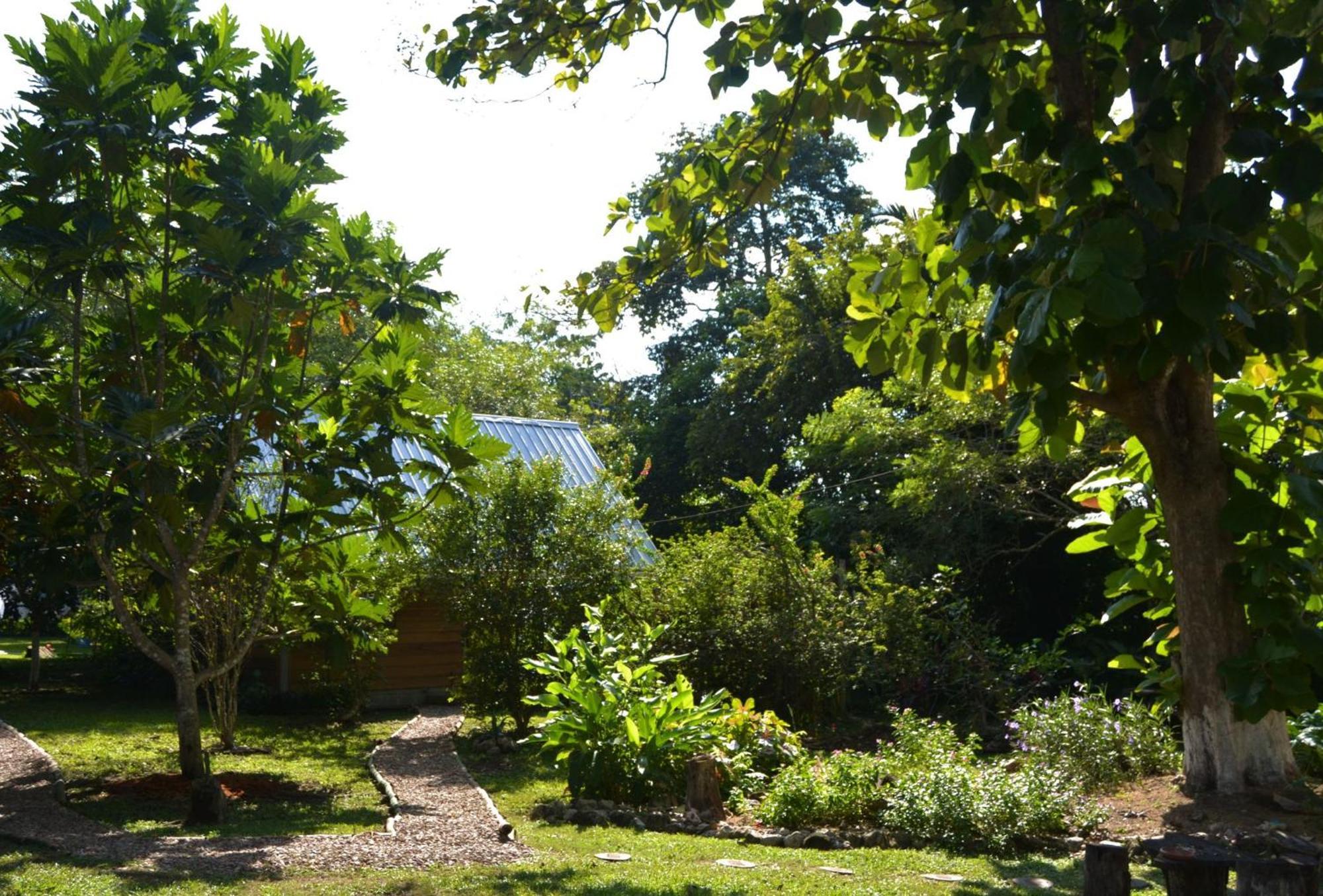 Iguana Roost Tourism Gold Standard Fully Equipped Two Bedroom Cabin San Ignacio Eksteriør billede