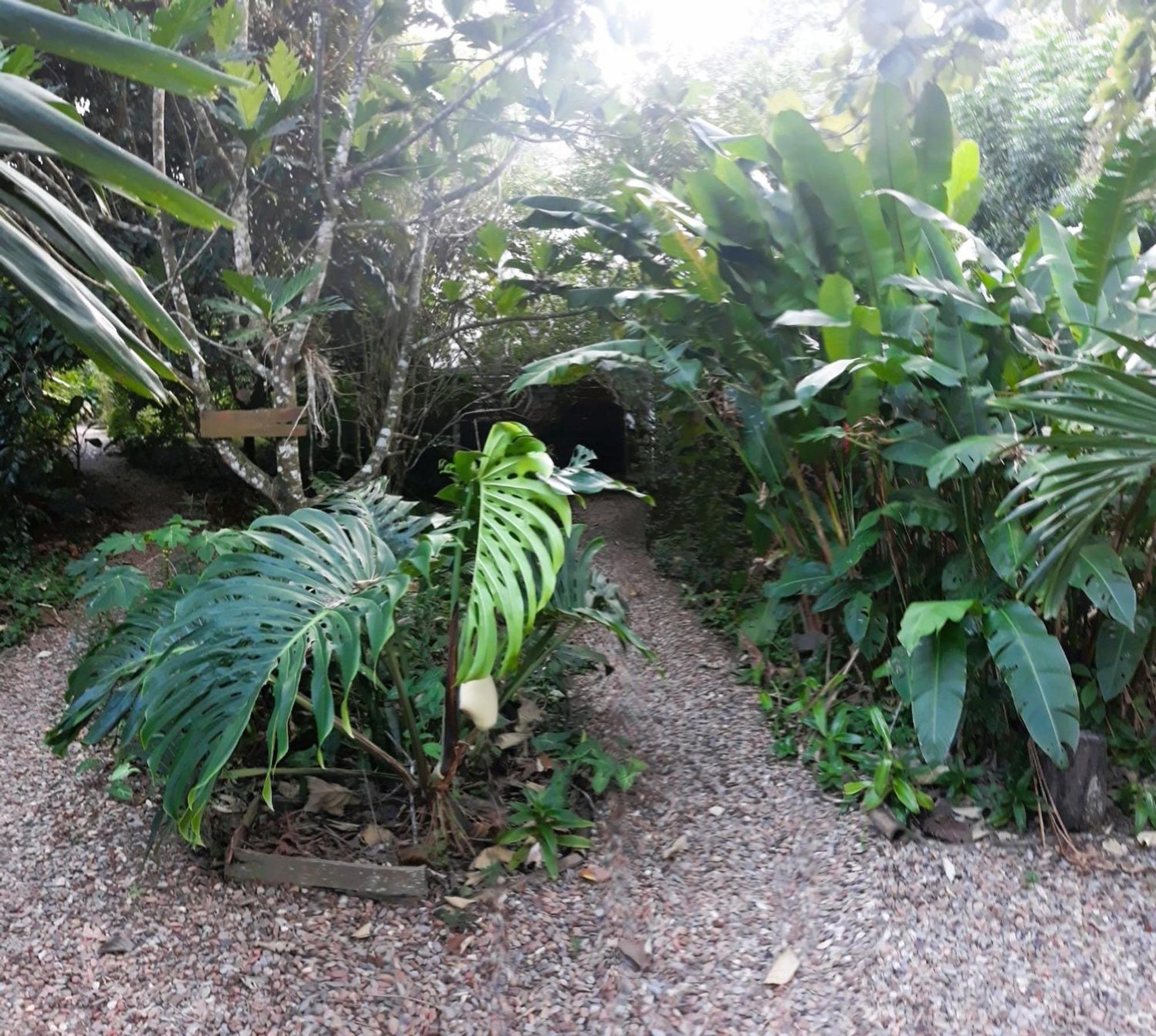Iguana Roost Tourism Gold Standard Fully Equipped Two Bedroom Cabin San Ignacio Eksteriør billede