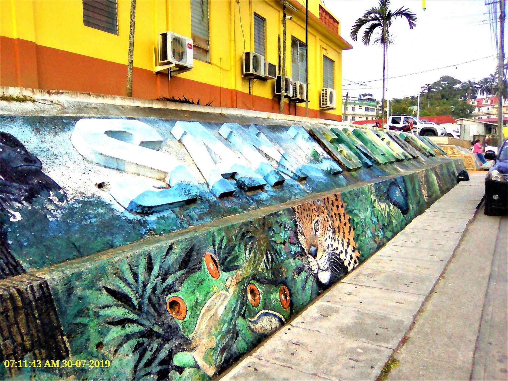 Iguana Roost Tourism Gold Standard Fully Equipped Two Bedroom Cabin San Ignacio Eksteriør billede
